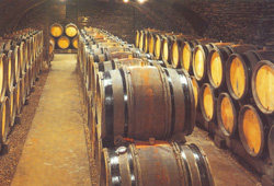 Les caves du Domaine Tortochot