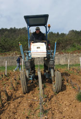 Le travail des sols au Domaine Tortochot à Gevrey Chambertin